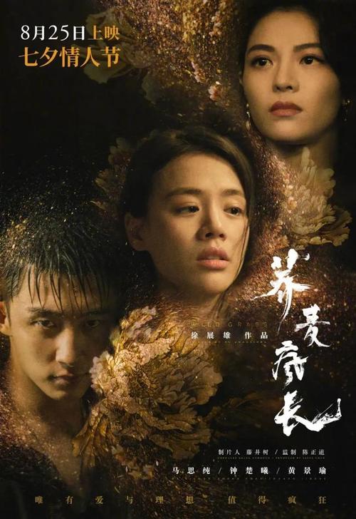 亚利桑那州驾驶执照怎么仿制